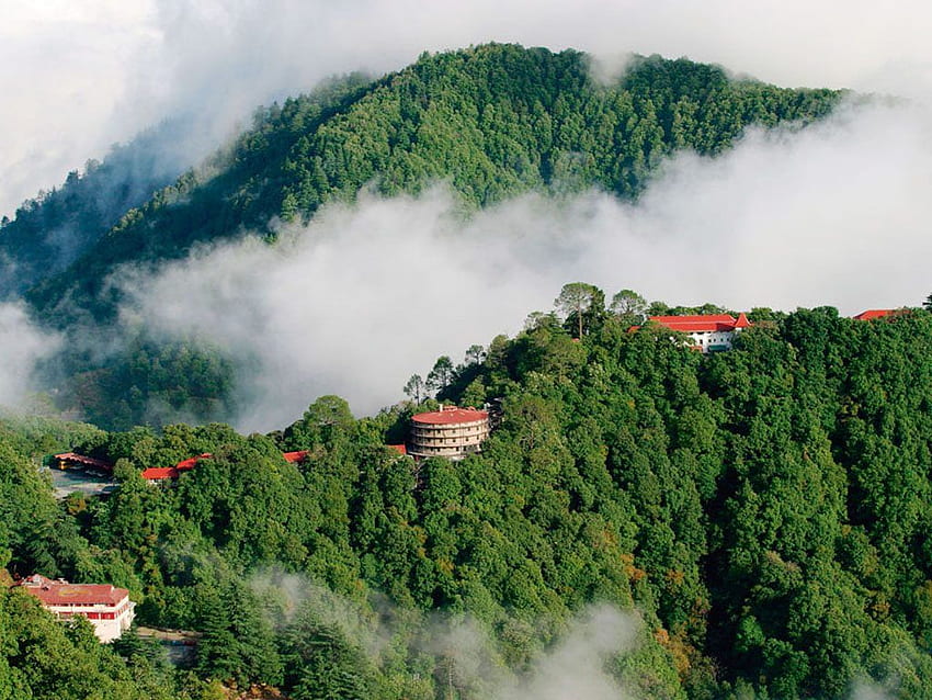 Progressive Tours and Travels: Delhi's leading travel agency, specializing in custom and pre-designed India tour packages. Offering premium services since 2000, we are one of India's top inbound tour operators.